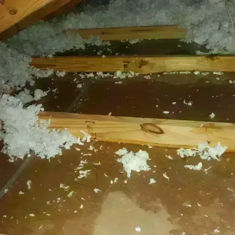 Attic Water Damage in Nolanville, TX