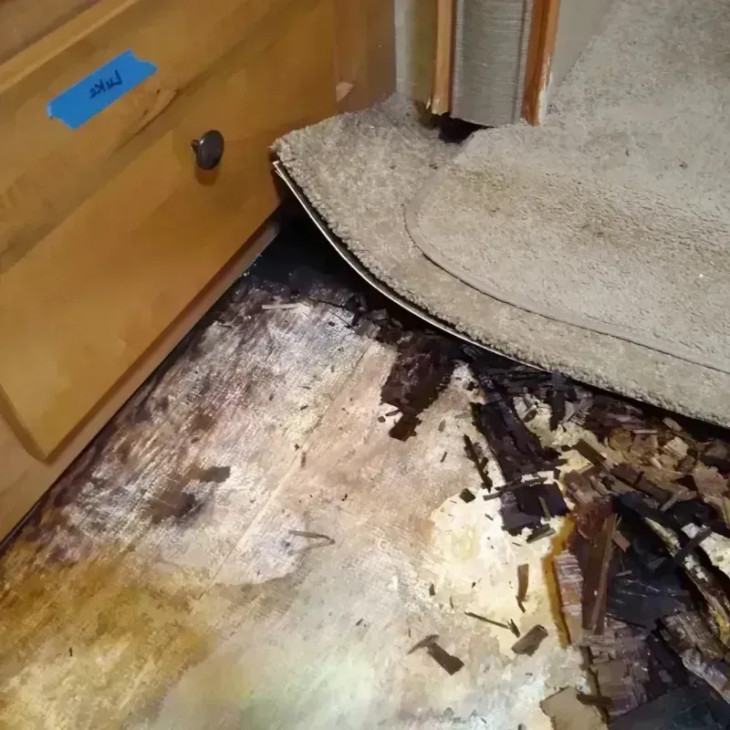 Wood Floor Water Damage in Nolanville, TX